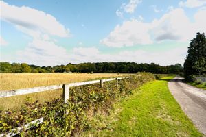 Photo 17- click for photo gallery